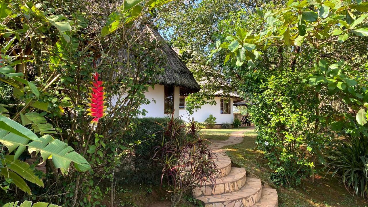 Banda Lodge Masaka Exteriér fotografie