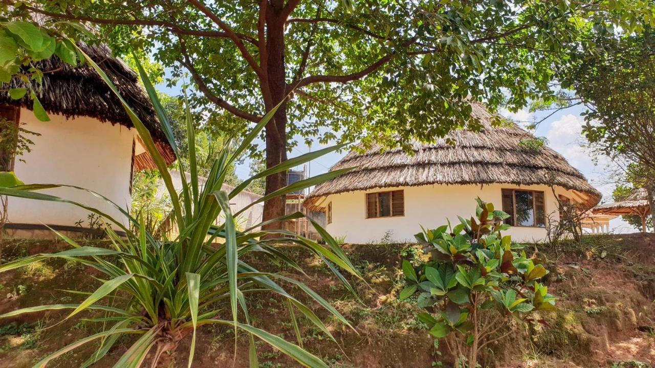 Banda Lodge Masaka Exteriér fotografie